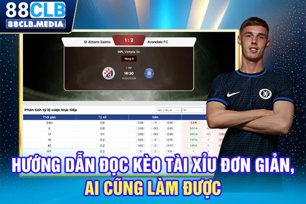Hướng dẫn đọc kèo tài xỉu đơn giản, ai cũng làm được