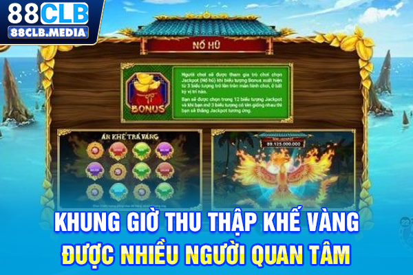 Khung giờ thu thập khế vàng được nhiều người quan tâm